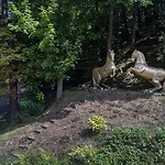 In *
